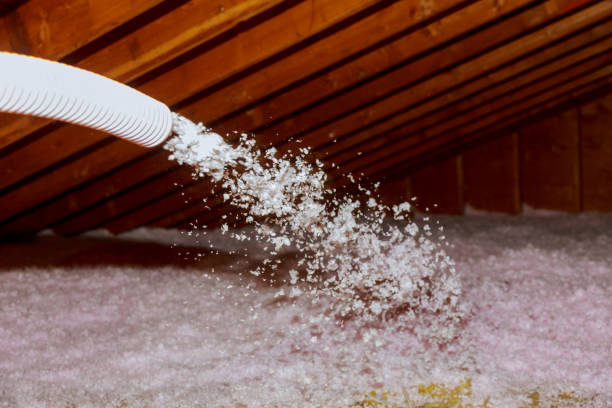 Best Insulation Air Sealing  in Norfolk, VA