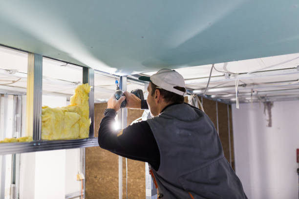 Best Spray Foam Insulation  in Norfolk, VA